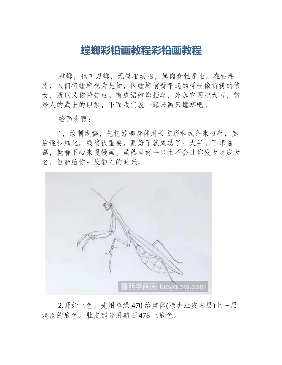 螳螂彩铅画教程彩铅画教程_第1页