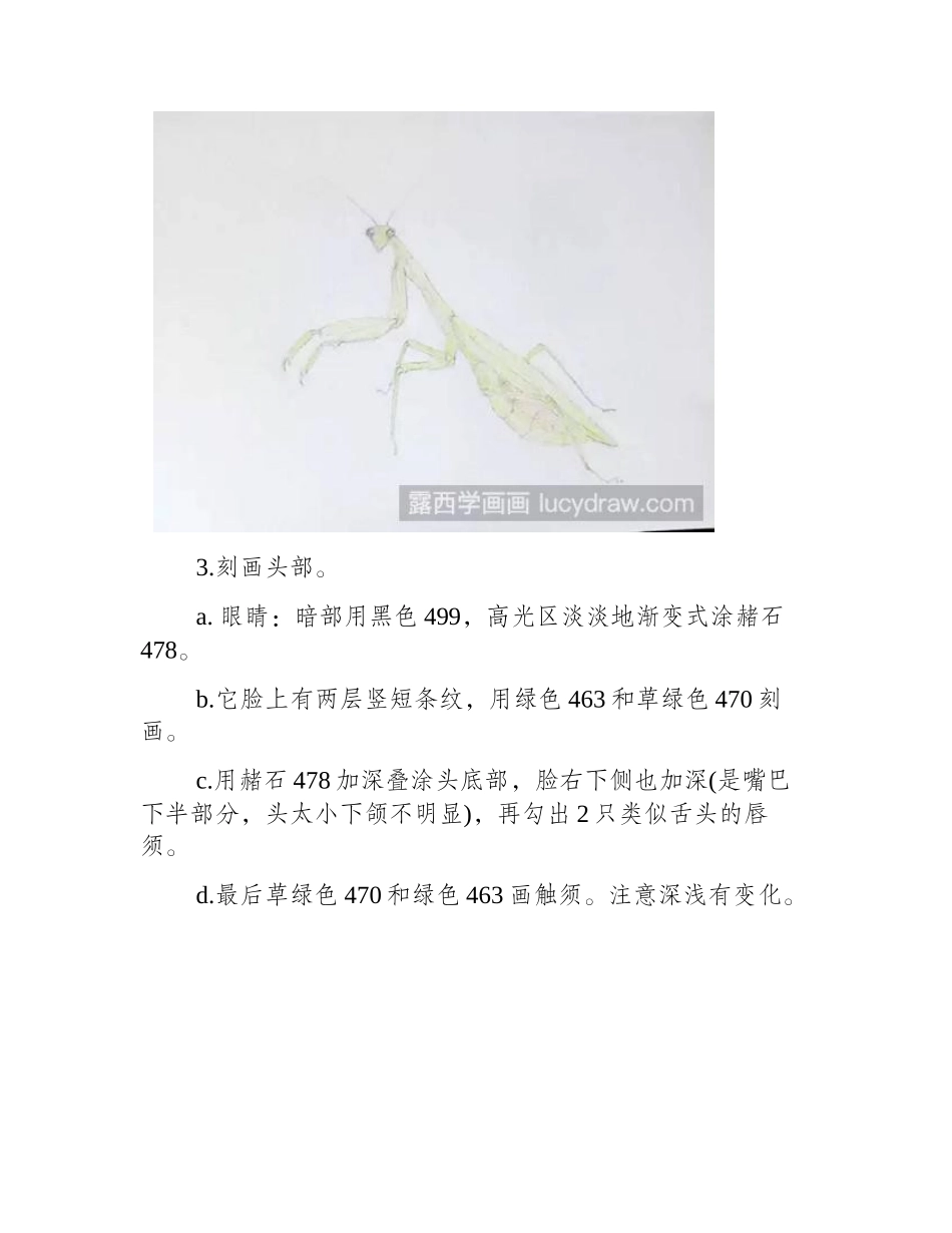 螳螂彩铅画教程彩铅画教程_第2页