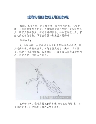 螳螂彩铅画教程彩铅画教程