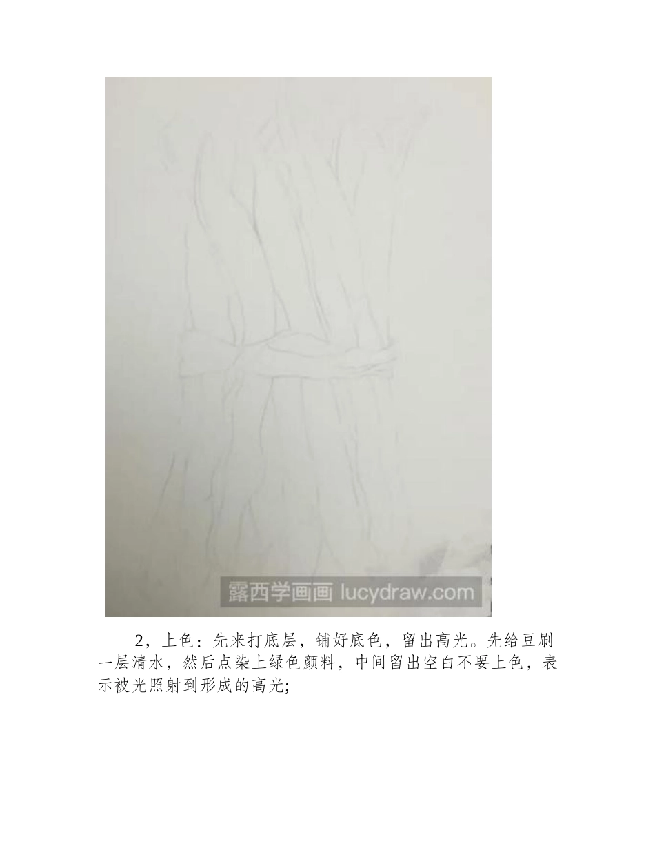 四季豆水彩画教程水彩画教程_第2页