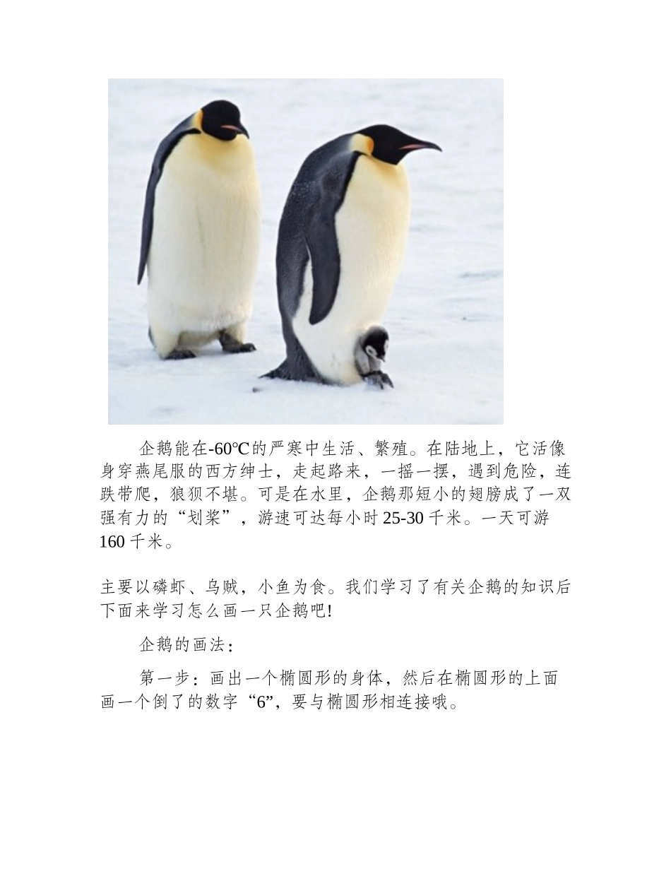 企鹅简笔画怎么画_企鹅的画法简笔画教程_第2页