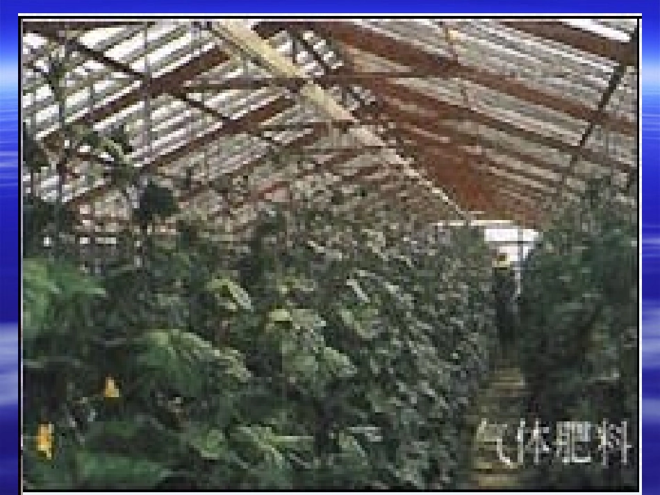 二氧化碳制取的探究_第2页