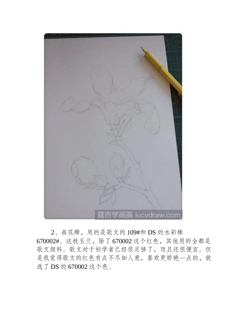 水彩画玉兰花怎么画水彩画教程1_第2页