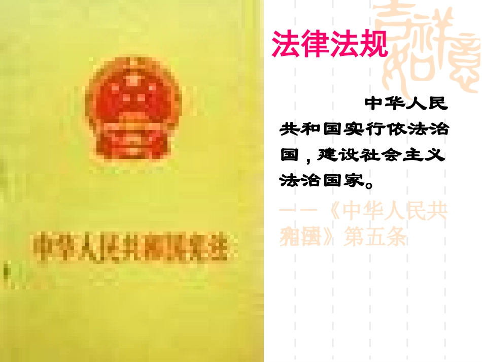 九年级政治依法治国_第3页