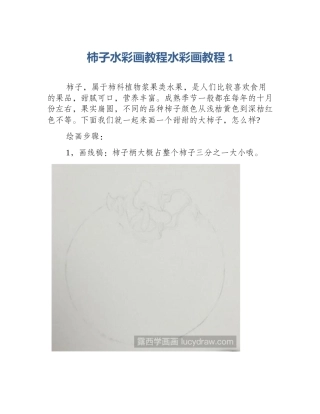 柿子水彩画教程水彩画教程1