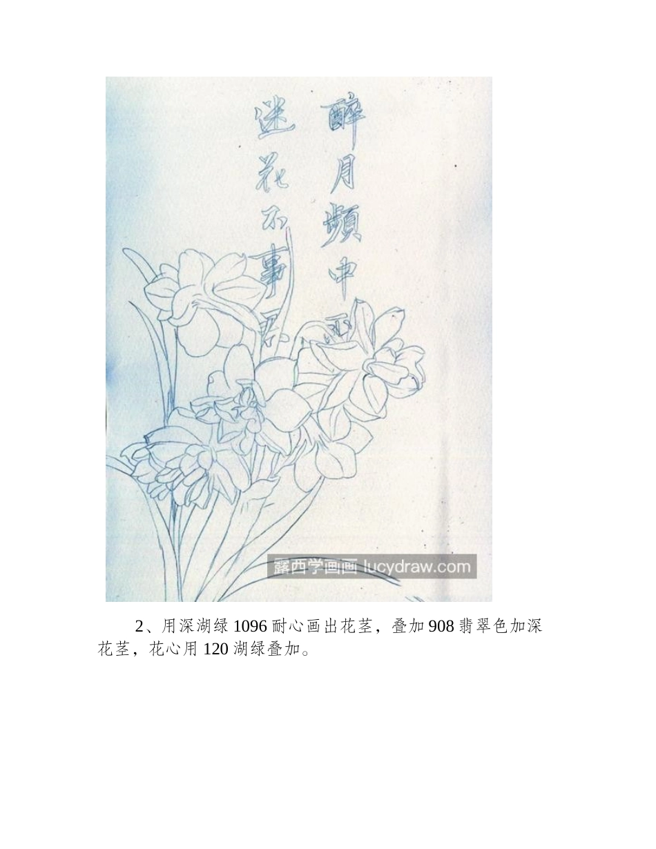 水仙花怎么画_详细的绘画流程是什么_彩铅画教程_第2页