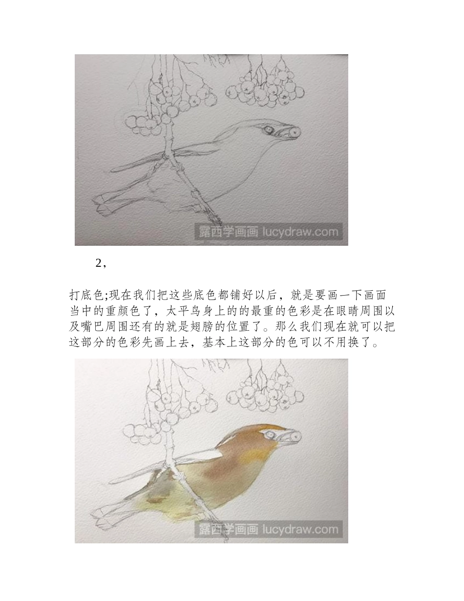 太平鸟水彩画教程水彩画教程_第2页