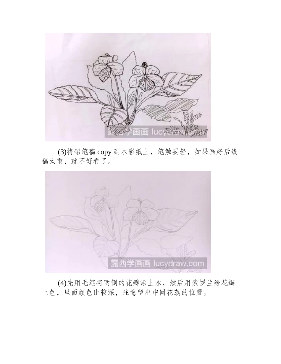 水彩画早开堇菜的步骤水彩画教程_第2页