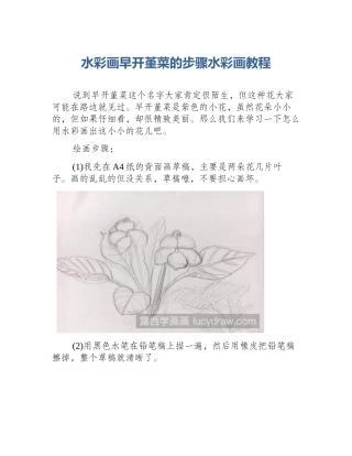 水彩画早开堇菜的步骤水彩画教程