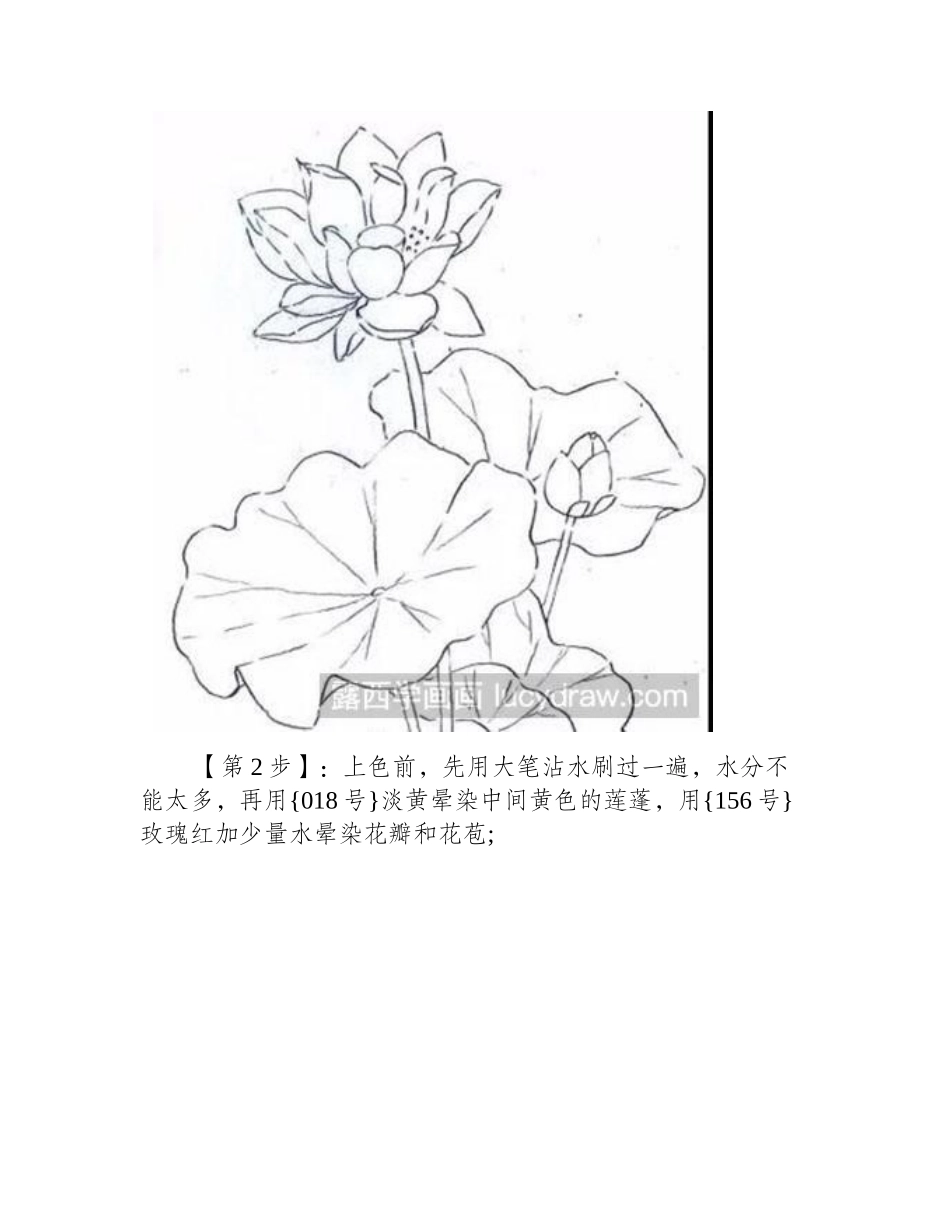 水彩荷花画法步骤水彩画教程_第2页