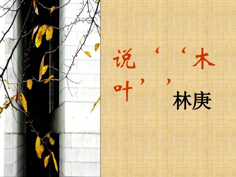 说木叶_课件_第2页