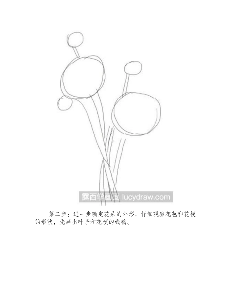 水彩画教程：花毛茛水彩画教程_第2页