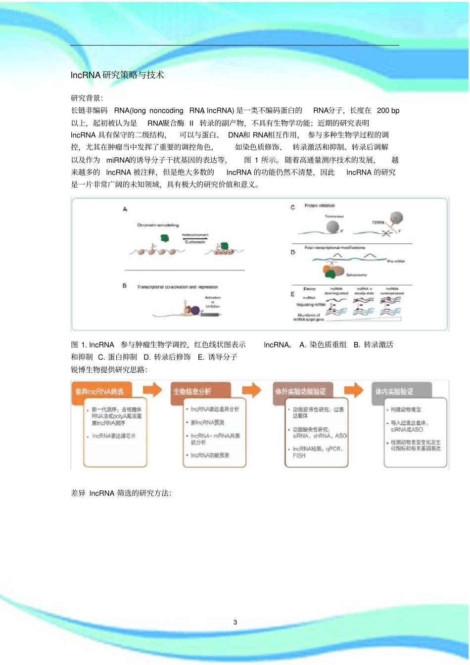 lncRNA研究策略与技术_第3页