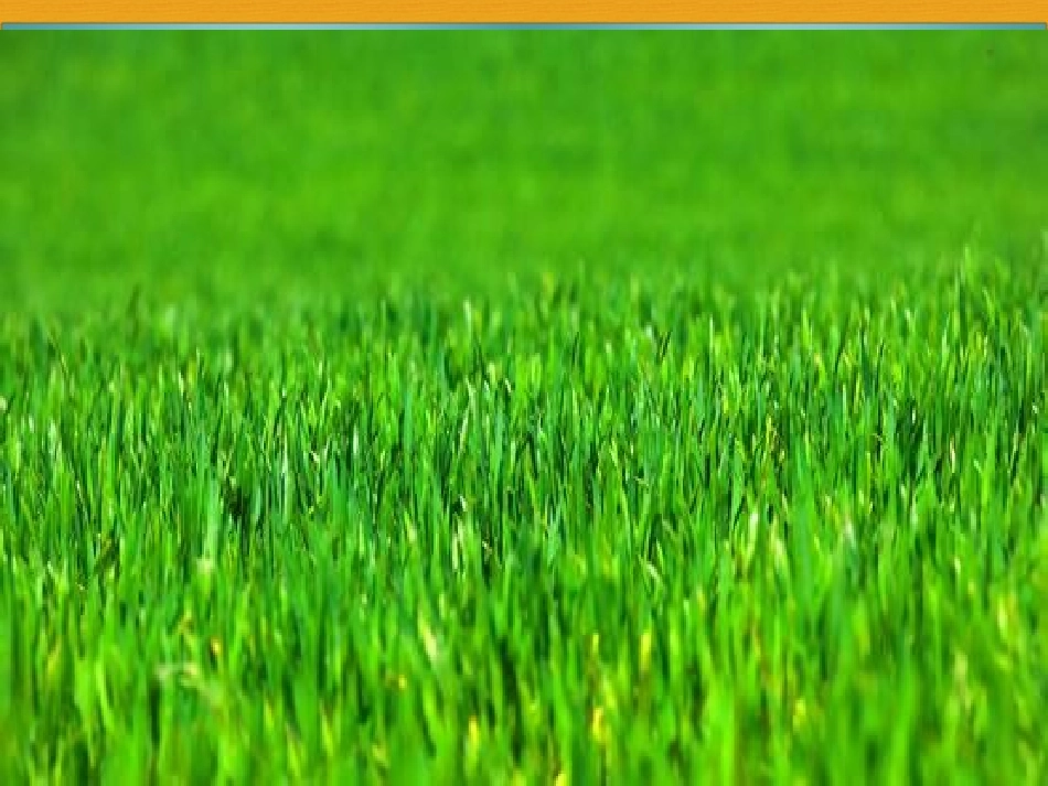 三年级音乐《我爱我的小镰刀》_第2页