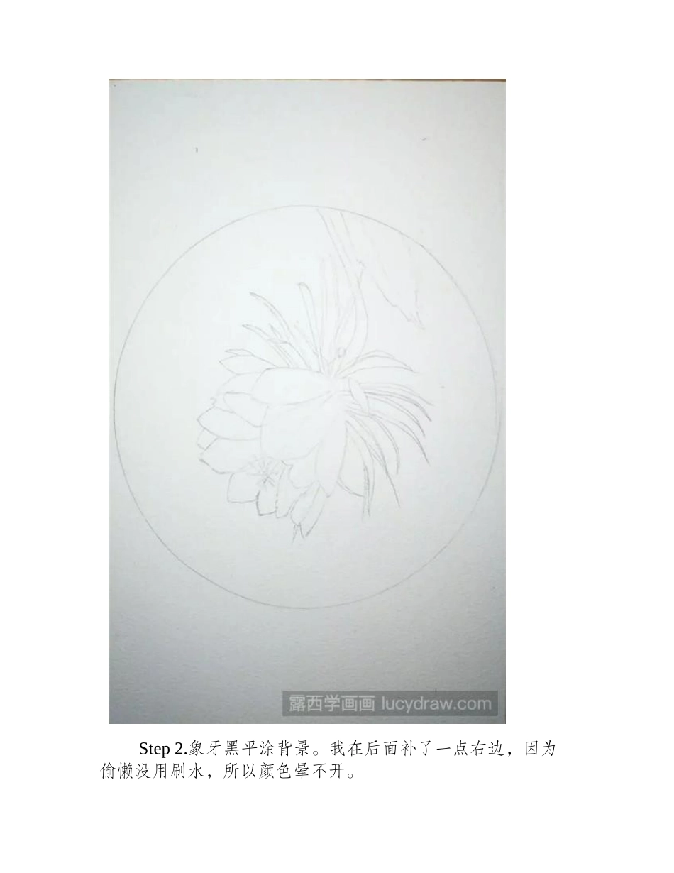 昙花画法教程，一步一步教你学水彩画教程_第2页