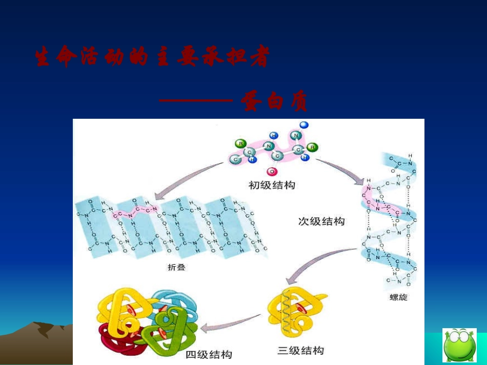 生物：22《生命活动的主要承担者——蛋白质》课件（新人教版必修1）_第1页