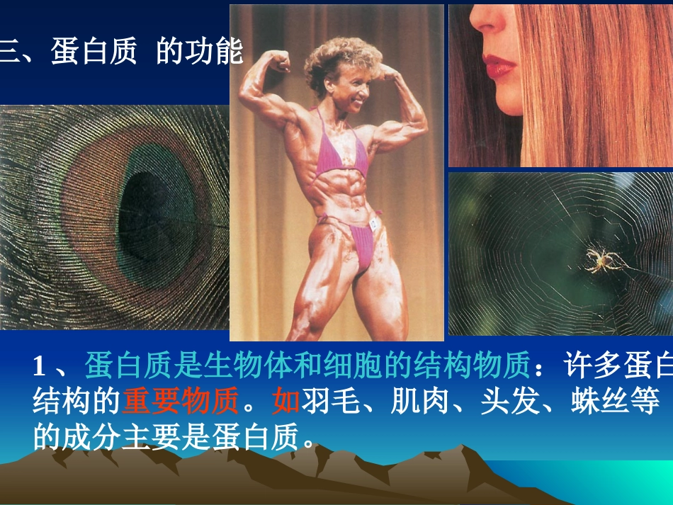 生物：22《生命活动的主要承担者——蛋白质》课件（新人教版必修1）_第3页