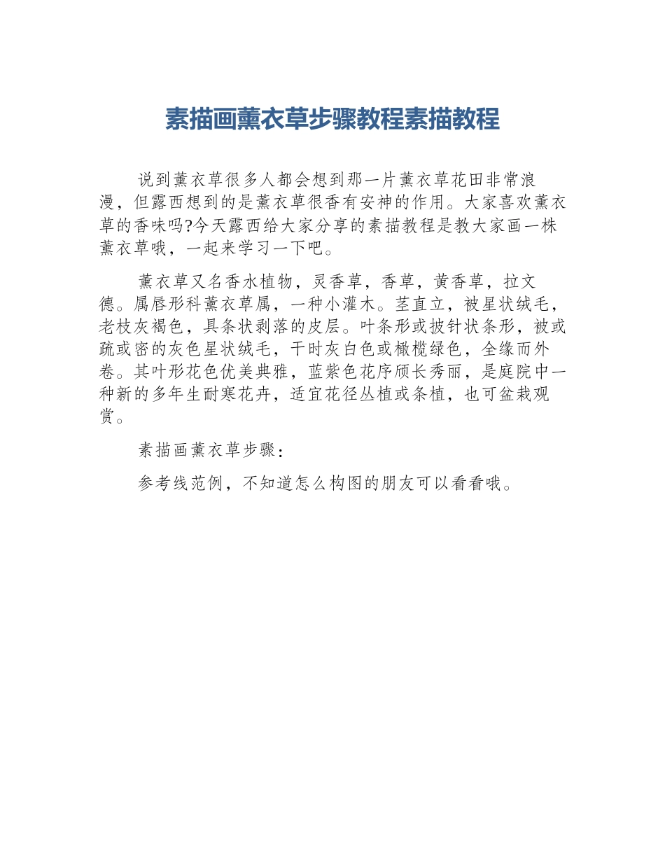 素描画薰衣草步骤教程素描教程_第1页