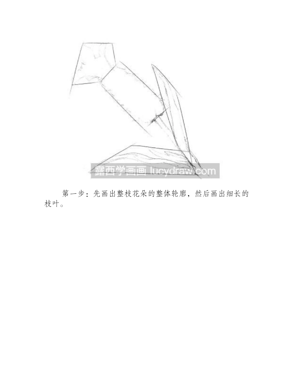 素描画薰衣草步骤教程素描教程_第2页
