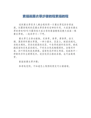 素描画薰衣草步骤教程素描教程