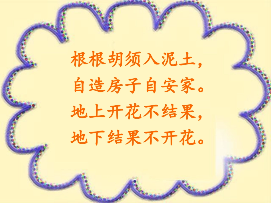 五年级语文上册第四组15落花生第一课时课件_第2页