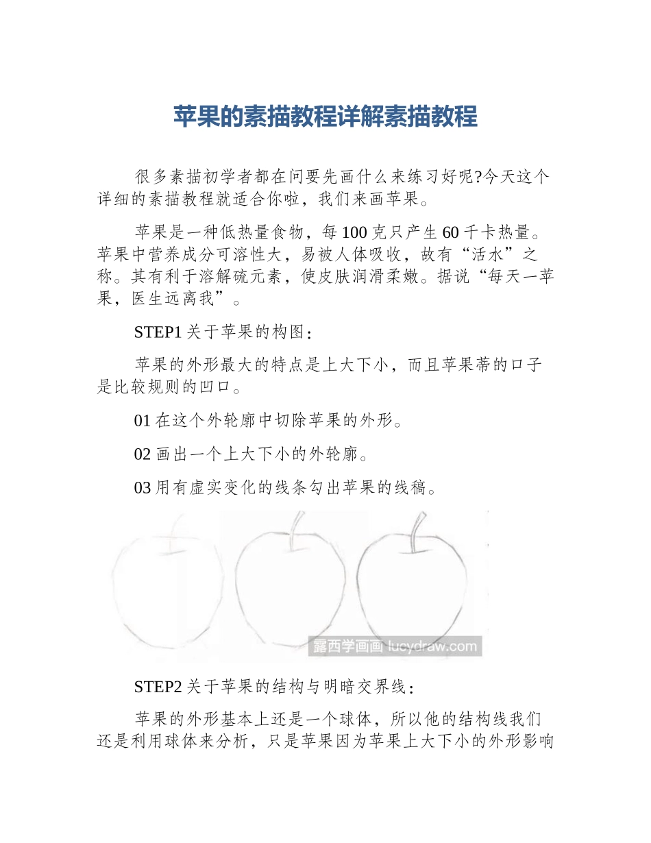 苹果的素描教程详解素描教程_第1页