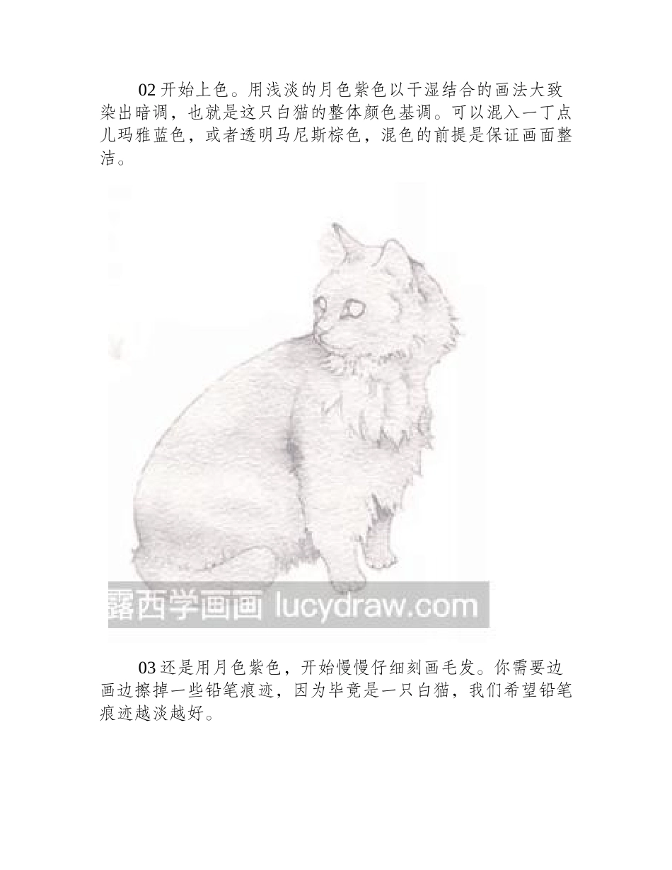 水彩画教程：怎么画波斯猫水彩画教程_第2页