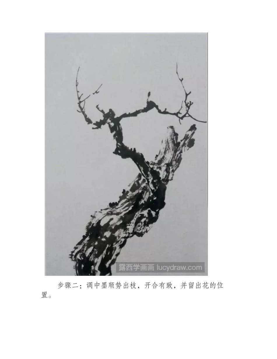 喜鹊登梅国画教程国画教程_第2页