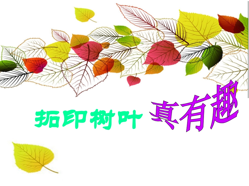 清新飘叶风格_第1页