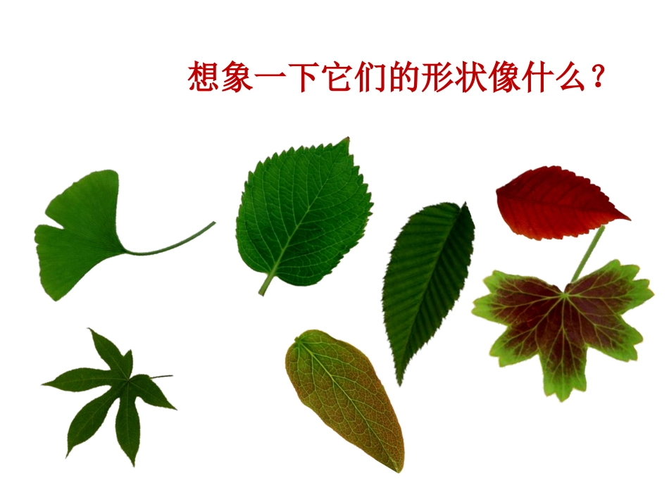 清新飘叶风格_第3页