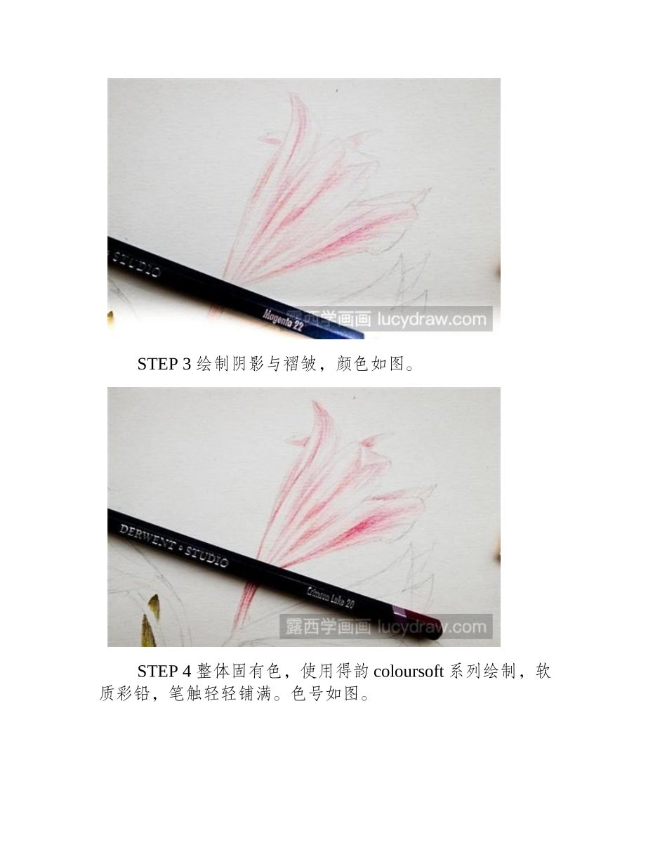 文殊兰彩铅画教程彩铅画教程_第2页