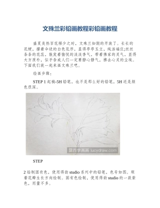 文殊兰彩铅画教程彩铅画教程