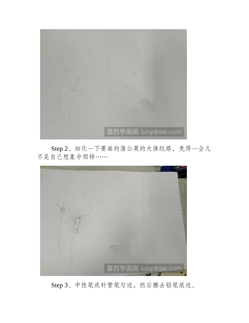 蒲公英插画教程插画教程_第2页
