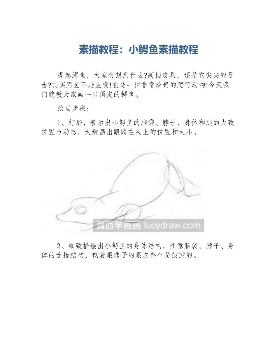 素描教程：小鳄鱼素描教程_第1页