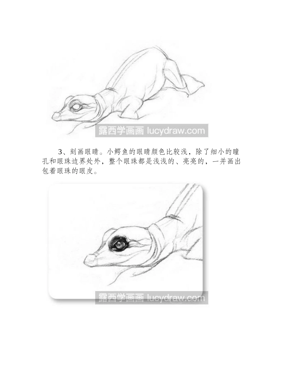 素描教程：小鳄鱼素描教程_第2页