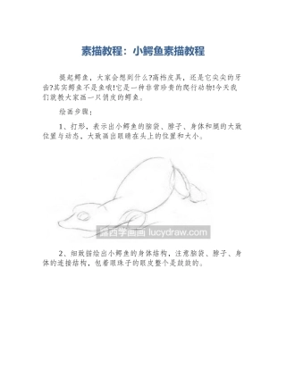 素描教程：小鳄鱼素描教程