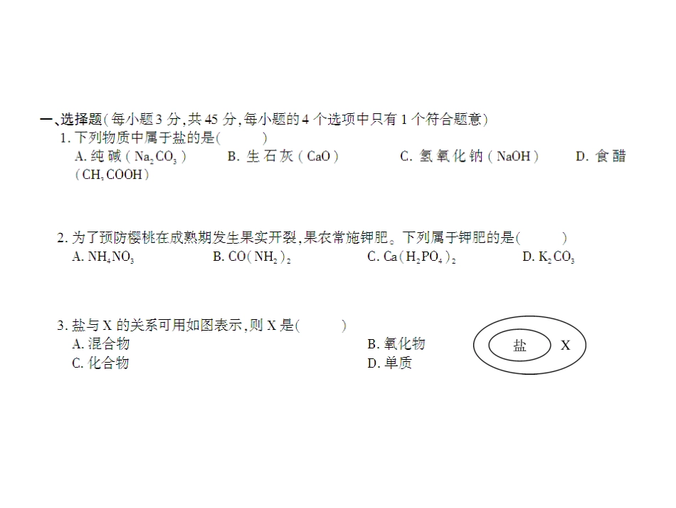 九年级化学第十一单元检测卷_第2页