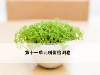 九年级化学第十一单元检测卷