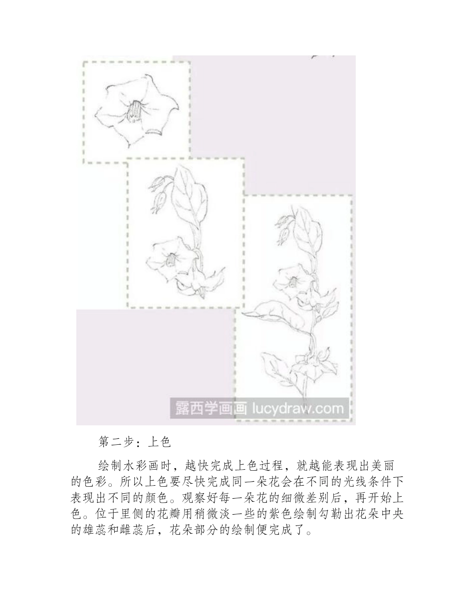 茄子花的水彩教程水彩画教程_第2页