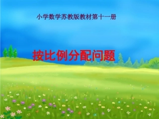 按比例分配问题