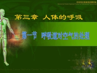 七年级生物下册第三章第1节课件