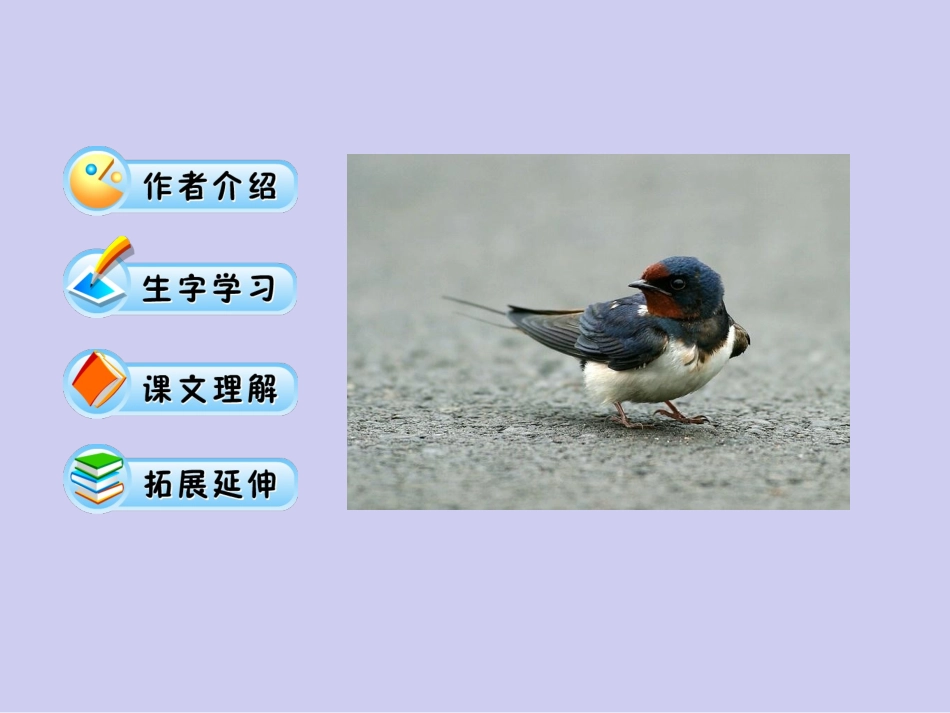 《燕子》教学课件1_第3页