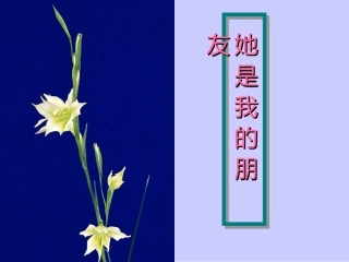 她是我的朋友们