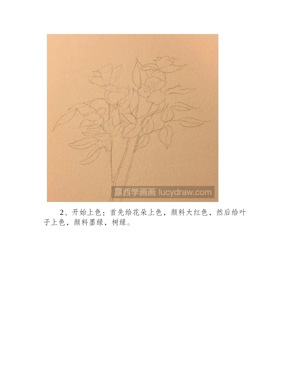 水彩画教程：教你画一束红玫瑰水彩画教程_第2页