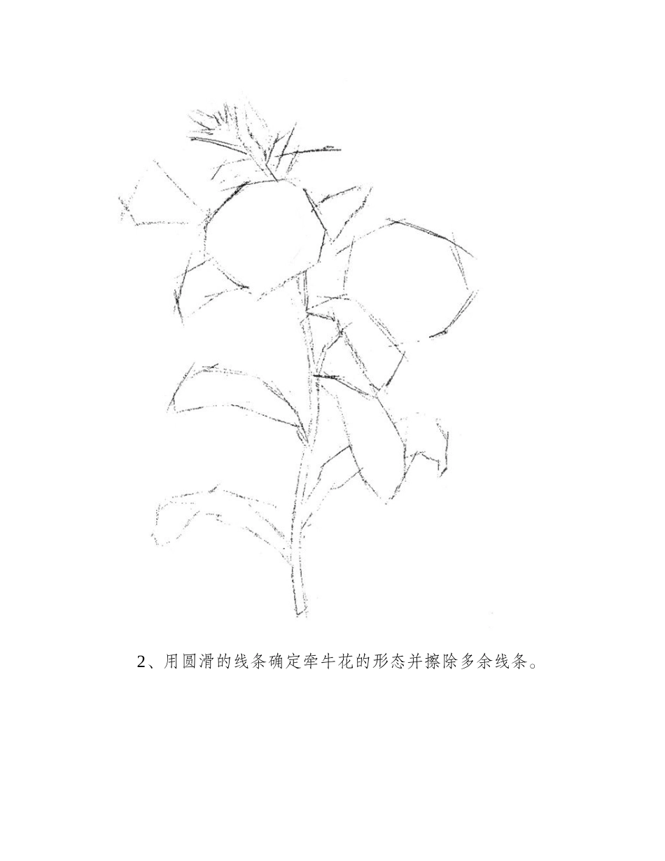 牵牛花彩铅画法是什么彩铅画教程_第2页