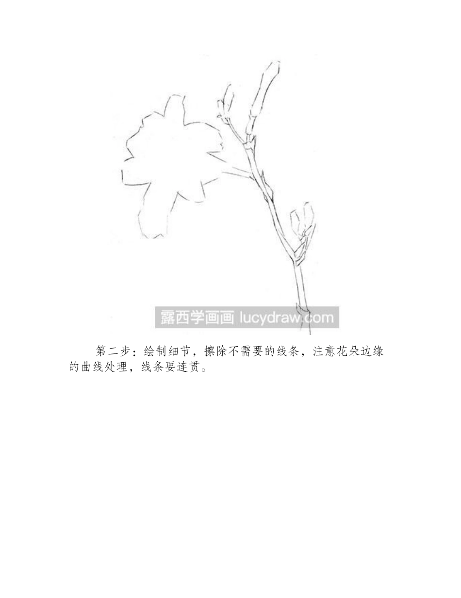 水粉画教程-萱草的绘制方法水粉画教程_第2页