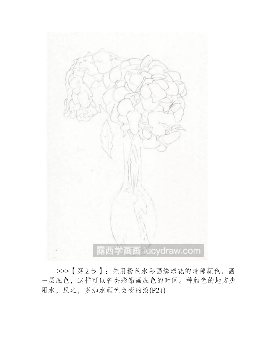 水彩画教程：教你画绣球花水彩画教程_第2页