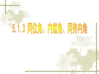 《513同位角、内错角、同旁内角》课件（七年级）