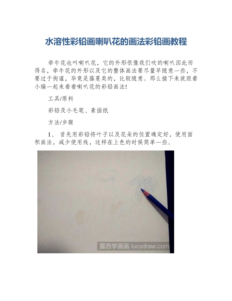 水溶性彩铅画喇叭花的画法彩铅画教程_第1页