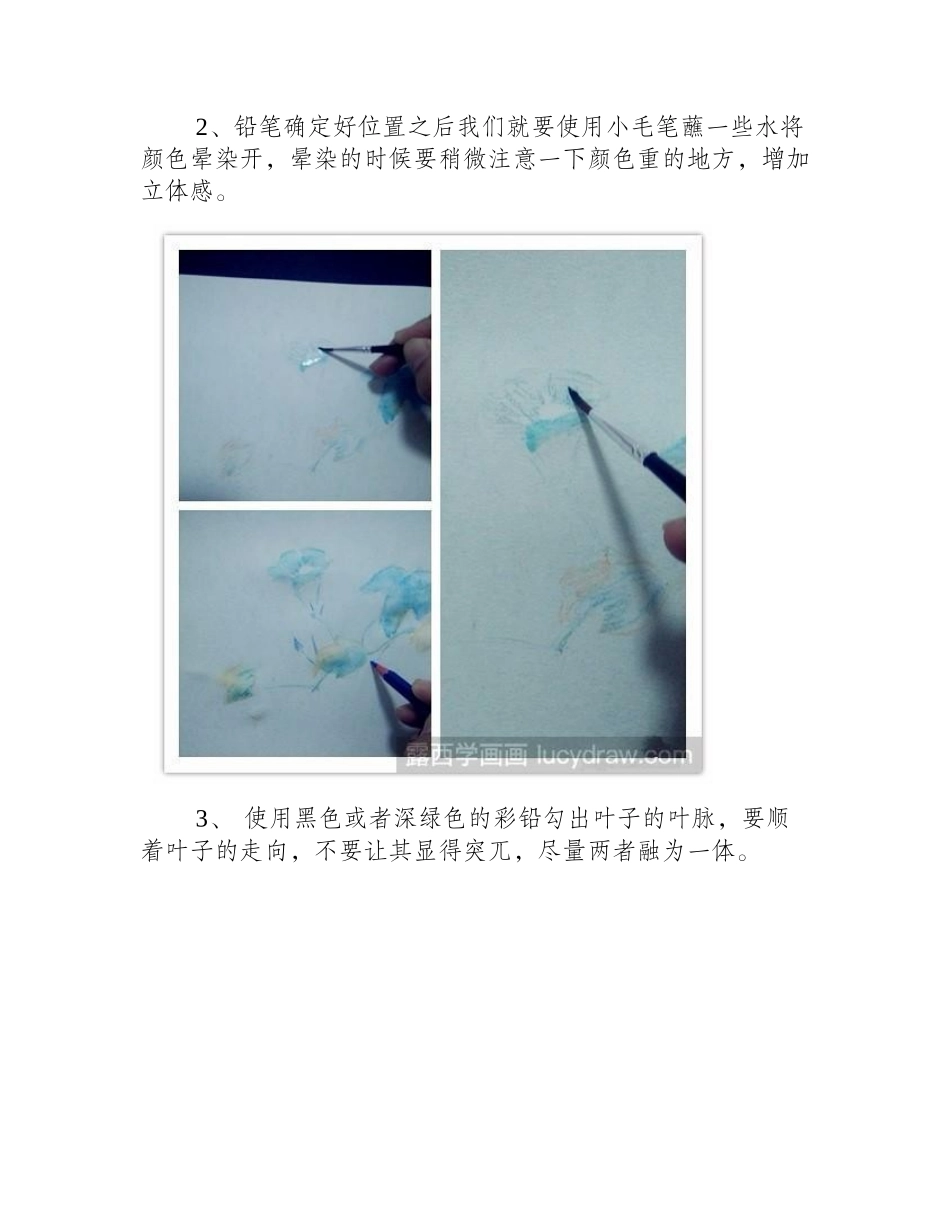 水溶性彩铅画喇叭花的画法彩铅画教程_第2页